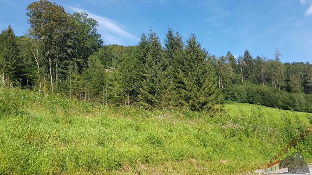 20200827_100934_resized_1