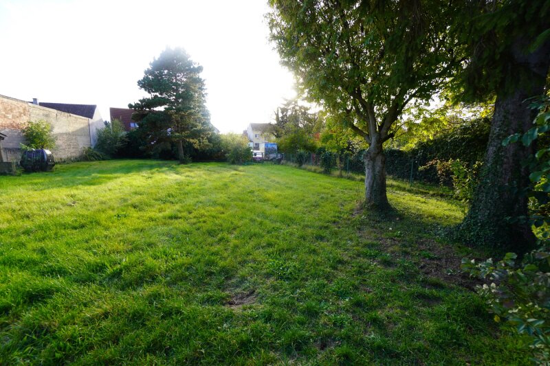 Grundstück Altbestand Bäume 1