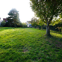 Grundstück Altbestand Bäume 1