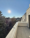 IMG_5257.jpeg