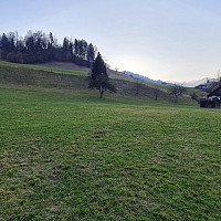 Am Rande einer kleinen Siedlung!