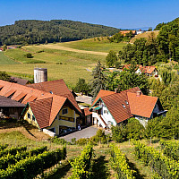 KR-Real-GmbH_Immobilie-St.Nikolai-im-Sausal©DS-86