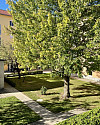 Aussicht Balkon