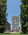 totibi sast 40301 Q1-333.jpg