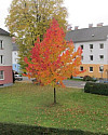 Blick aus Kinderzimmer