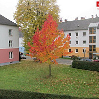 Blick aus Kinderzimmer