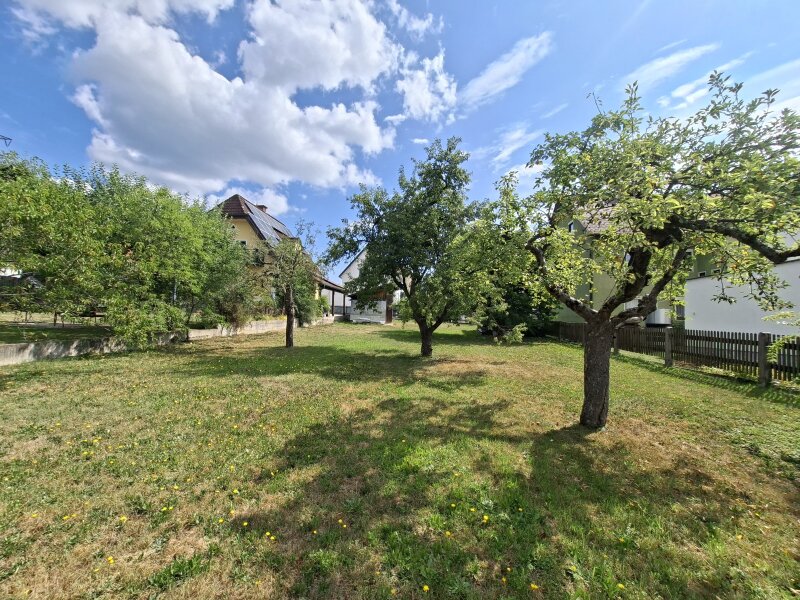 Bestand Obstbäume