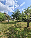 Bestand Obstbäume