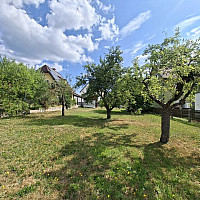 Bestand Obstbäume
