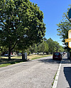 Herrlicher Grünblick - Wlassakstraße
