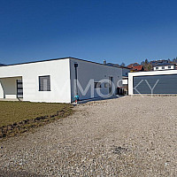 NEU