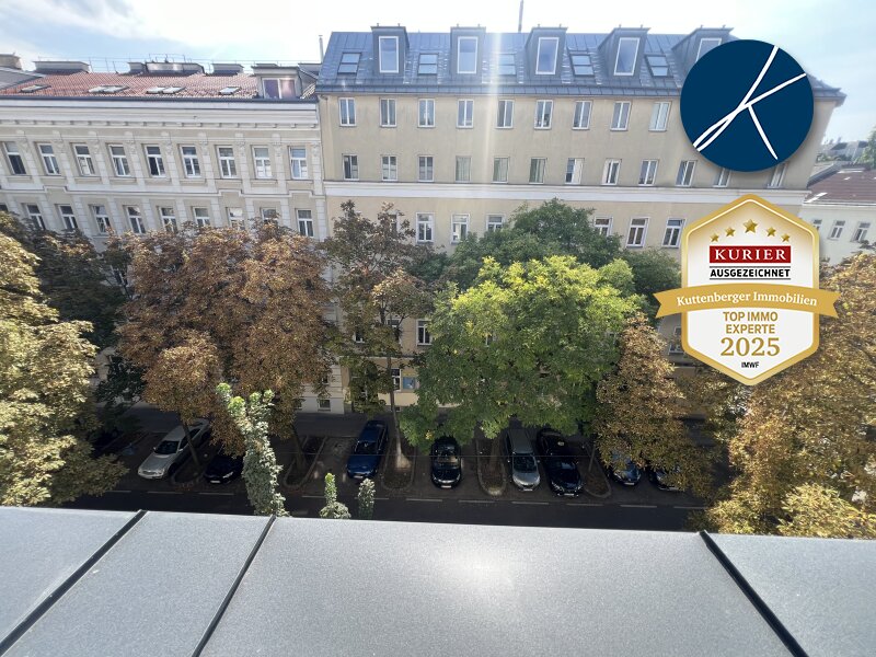 Ausblick auf die Kastanienbäume