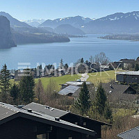 Ausblick