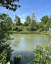 Marchfeldkanal
