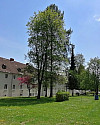 Innenhof Grünanlage