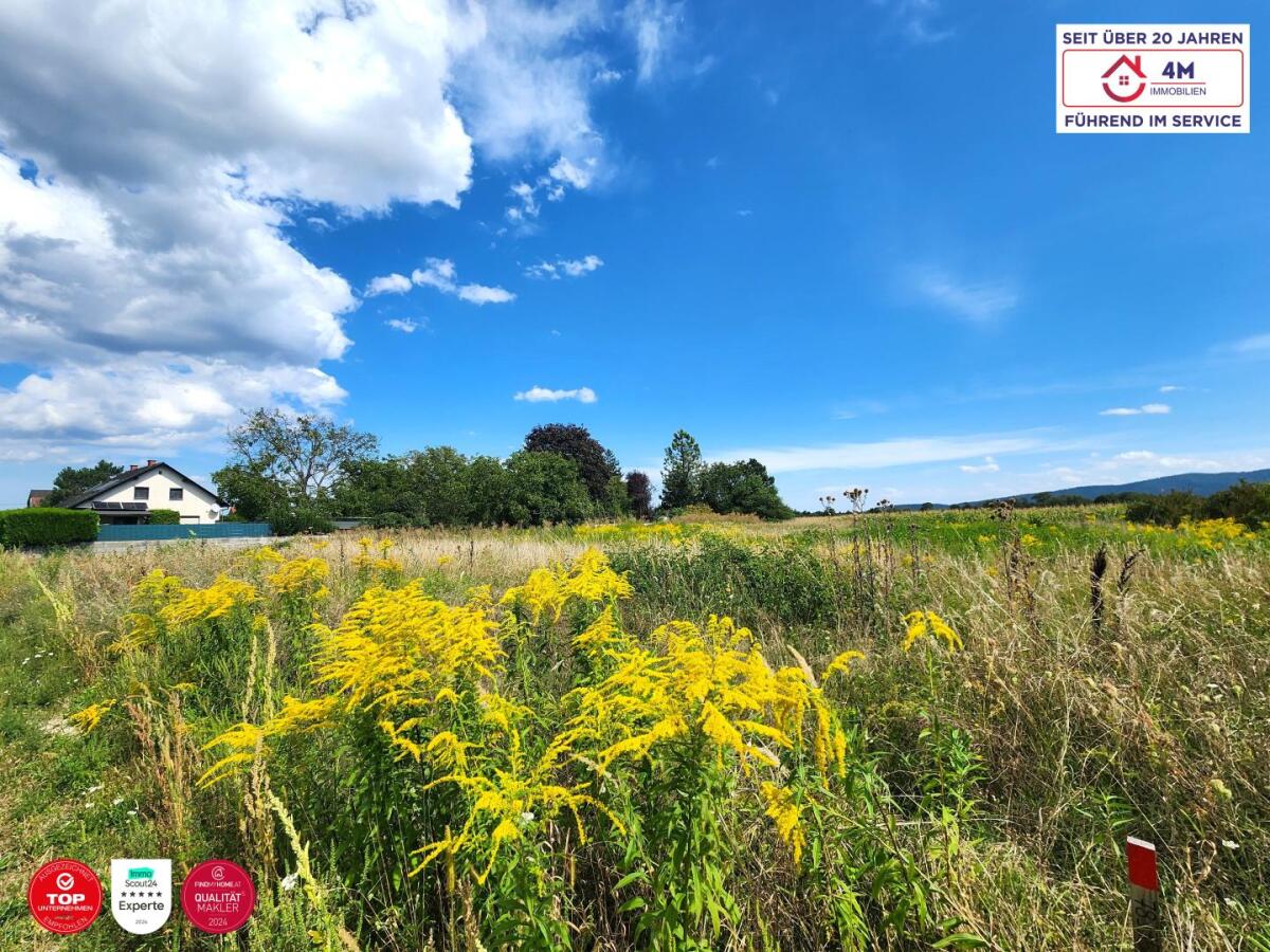 schräge Seitenansicht links