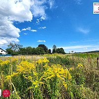 schräge Seitenansicht links