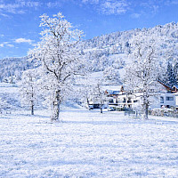 a1a430f1-0dd8-43e2-a459-7f9da84d9b78