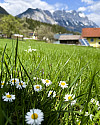 image00046