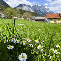 image00046