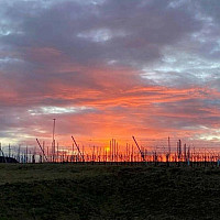 Blickrichtung Westen