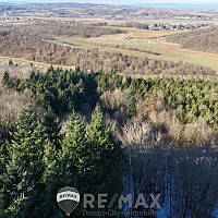 1 Teilansicht Wald und Umgebung