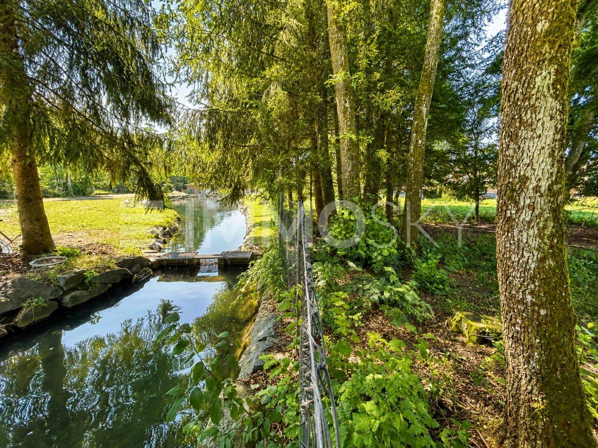 Blick auf den angrenzenden Bach