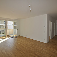 Bild1