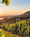 Wohnen am Fuße des Kahlenbergs