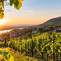 Wohnen am Fuße des Kahlenbergs