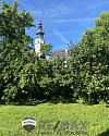 01 Mietwohnung in Königstetten