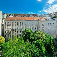 Grünblick