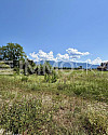 Süden
