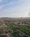 IMG_4959