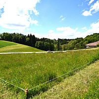 Traumplatz