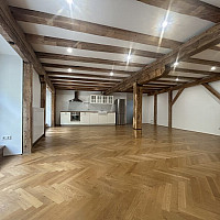 Loft/Wohnküche