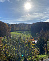 Ausblick-vom-Garten