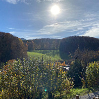 Ausblick-vom-Garten