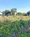 Ihr Traumhaus in ruhiger Siedlungslage