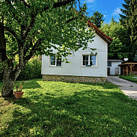 Bild1