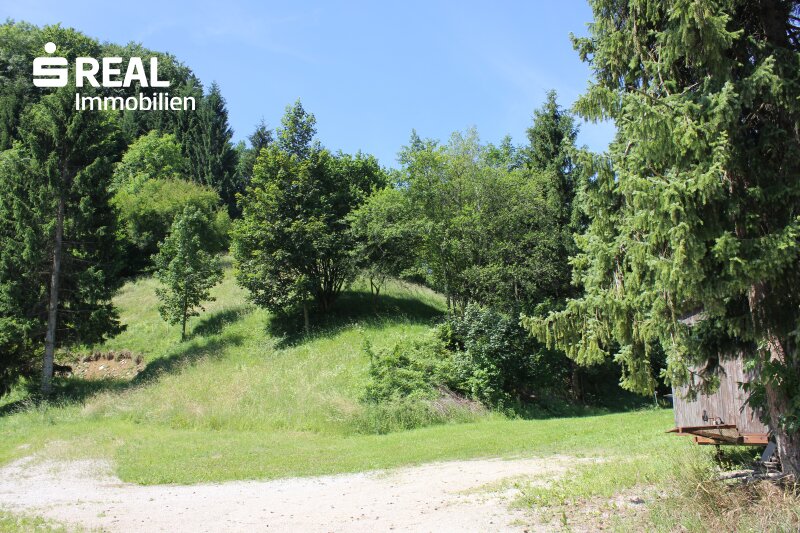 Ansicht 1