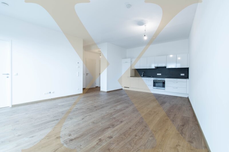 Wohn-, Ess- und Kochbereich