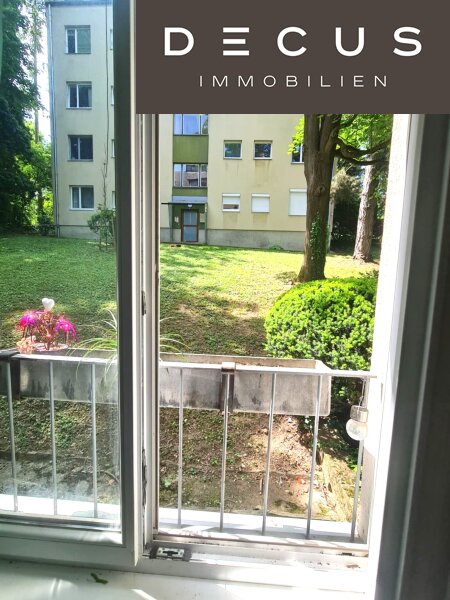 Grün vor dem Fenster