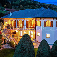 Lehner Immobilien Bild 1