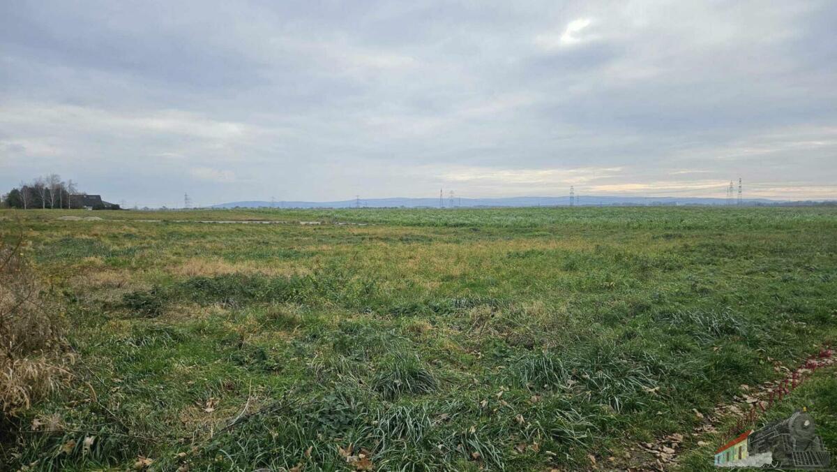 WhatsApp Image 2025-11-16 at 13.45.53 (2)