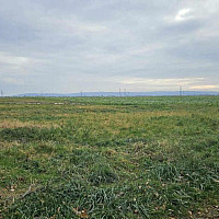 WhatsApp Image 2025-11-16 at 13.45.53 (2)