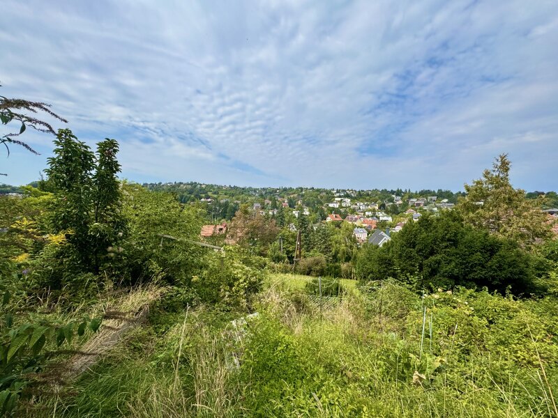 Fernblick
