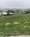IMG_2940