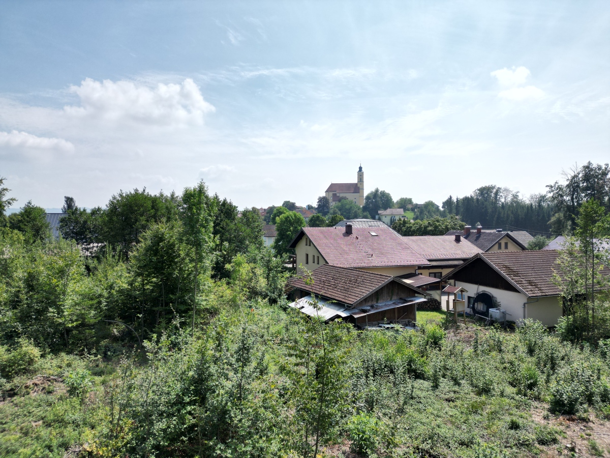 DJI_0958.JPG