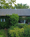 DJI_0377